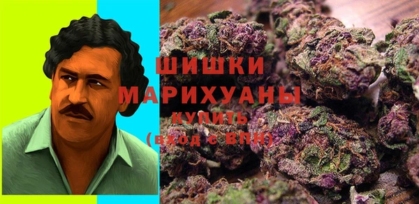 ГАЛЛЮЦИНОГЕННЫЕ ГРИБЫ Гусиноозёрск