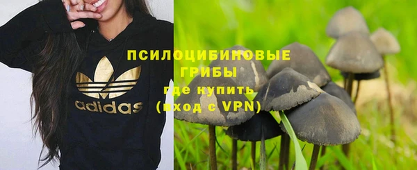 метамфетамин Гусь-Хрустальный