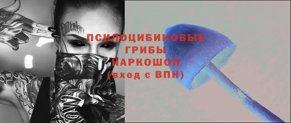 ГАЛЛЮЦИНОГЕННЫЕ ГРИБЫ Гусиноозёрск
