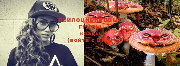 МДМА Гусев