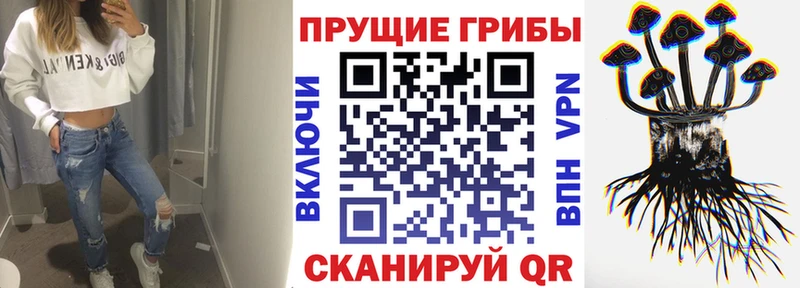 Галлюциногенные грибы GOLDEN TEACHER как найти блэк спрут ссылки Емва